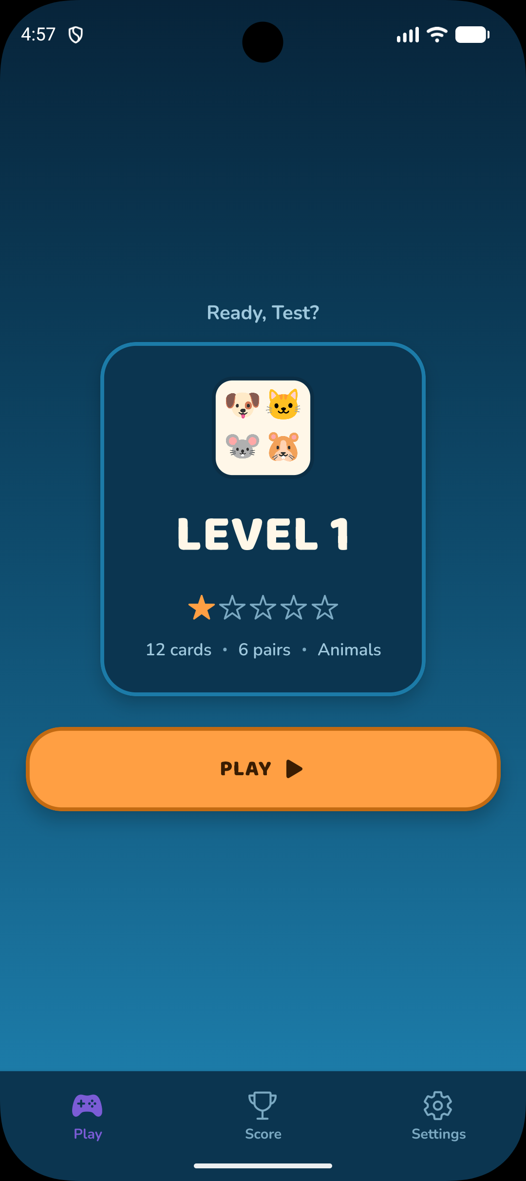 Level intro screen showing difficulty and picture pack